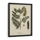 Ropa De Cama Y Hojas Iii - Vision Studio | Cuadro decorativo de Canvas Lab