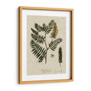 Ropa De Cama Y Hojas Iii - Vision Studio | Cuadro decorativo de Canvas Lab