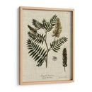 Ropa De Cama Y Hojas Iii - Vision Studio | Cuadro decorativo de Canvas Lab