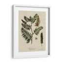 Ropa De Cama Y Hojas Iii - Vision Studio | Cuadro decorativo de Canvas Lab