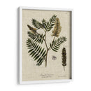 Ropa De Cama Y Hojas Iii - Vision Studio | Cuadro decorativo de Canvas Lab