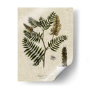 Ropa De Cama Y Hojas Iii - Vision Studio | Cuadro decorativo de Canvas Lab