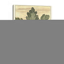 Hojas De Roble Resistidas I - Gerard Paul Deshayes | Cuadro decorativo de Canvas Lab