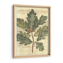 Hojas De Roble Resistidas I - Gerard Paul Deshayes | Cuadro decorativo de Canvas Lab