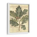 Hojas De Roble Resistidas I - Gerard Paul Deshayes | Cuadro decorativo de Canvas Lab