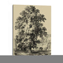 El Olmo | Cuadro decorativo de Canvas Lab