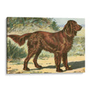 Hombre Mejor Amigo I | Cuadro decorativo de Canvas Lab