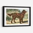 Hombre Mejor Amigo I | Cuadro decorativo de Canvas Lab