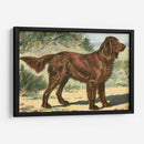 Hombre Mejor Amigo I | Cuadro decorativo de Canvas Lab