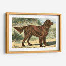 Hombre Mejor Amigo I | Cuadro decorativo de Canvas Lab