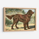 Hombre Mejor Amigo I | Cuadro decorativo de Canvas Lab