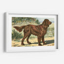 Hombre Mejor Amigo I | Cuadro decorativo de Canvas Lab