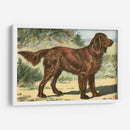 Hombre Mejor Amigo I | Cuadro decorativo de Canvas Lab