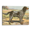 Mans Mejor Amigo Ii | Cuadro decorativo de Canvas Lab