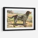 Mans Mejor Amigo Ii | Cuadro decorativo de Canvas Lab