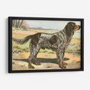 Mans Mejor Amigo Ii | Cuadro decorativo de Canvas Lab