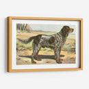 Mans Mejor Amigo Ii | Cuadro decorativo de Canvas Lab