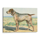 Mans Mejor Amigo Iii | Cuadro decorativo de Canvas Lab