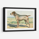 Mans Mejor Amigo Iii | Cuadro decorativo de Canvas Lab