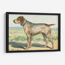 Mans Mejor Amigo Iii | Cuadro decorativo de Canvas Lab