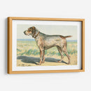 Mans Mejor Amigo Iii | Cuadro decorativo de Canvas Lab