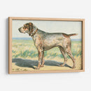 Mans Mejor Amigo Iii | Cuadro decorativo de Canvas Lab