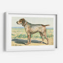 Mans Mejor Amigo Iii | Cuadro decorativo de Canvas Lab