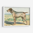 Mans Mejor Amigo Iii | Cuadro decorativo de Canvas Lab