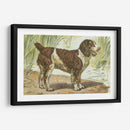 Mans Mejor Amigo Iv | Cuadro decorativo de Canvas Lab