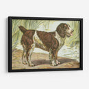 Mans Mejor Amigo Iv | Cuadro decorativo de Canvas Lab