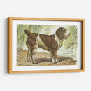 Mans Mejor Amigo Iv | Cuadro decorativo de Canvas Lab