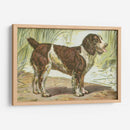 Mans Mejor Amigo Iv | Cuadro decorativo de Canvas Lab