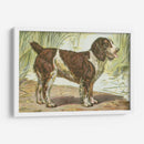 Mans Mejor Amigo Iv | Cuadro decorativo de Canvas Lab