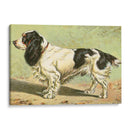 Hombre Mejor Amigo V | Cuadro decorativo de Canvas Lab