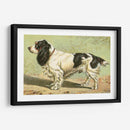 Hombre Mejor Amigo V | Cuadro decorativo de Canvas Lab