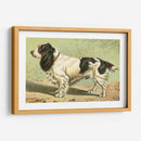 Hombre Mejor Amigo V | Cuadro decorativo de Canvas Lab