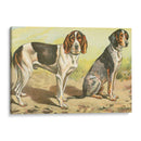 Mans Best Frive Vi | Cuadro decorativo de Canvas Lab