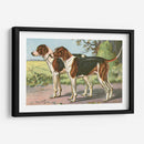 Hombre Mejor Amigo Vii | Cuadro decorativo de Canvas Lab