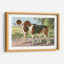 Hombre Mejor Amigo Vii | Cuadro decorativo de Canvas Lab