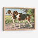 Hombre Mejor Amigo Vii | Cuadro decorativo de Canvas Lab