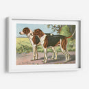 Hombre Mejor Amigo Vii | Cuadro decorativo de Canvas Lab