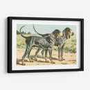 Mans Best Frive Viii | Cuadro decorativo de Canvas Lab