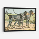 Mans Best Frive Viii | Cuadro decorativo de Canvas Lab