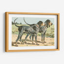 Mans Best Frive Viii | Cuadro decorativo de Canvas Lab