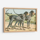 Mans Best Frive Viii | Cuadro decorativo de Canvas Lab