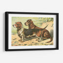 Mans Mejor Amigo Ix | Cuadro decorativo de Canvas Lab