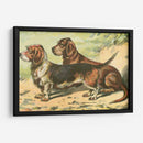 Mans Mejor Amigo Ix | Cuadro decorativo de Canvas Lab