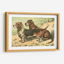 Mans Mejor Amigo Ix | Cuadro decorativo de Canvas Lab