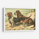 Mans Mejor Amigo Ix | Cuadro decorativo de Canvas Lab