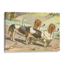 Hombre Mejor Amigo X | Cuadro decorativo de Canvas Lab